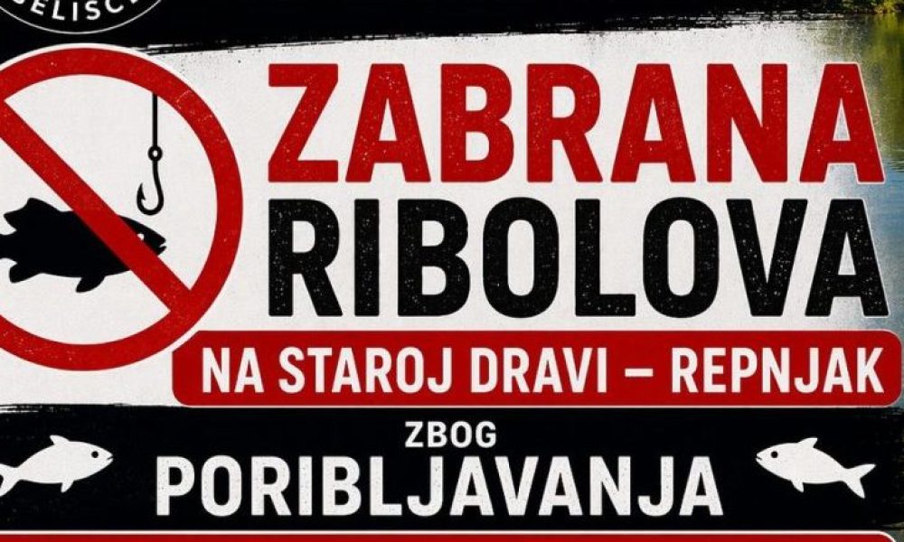 674624289_996655676271423_3246655920515903964_n