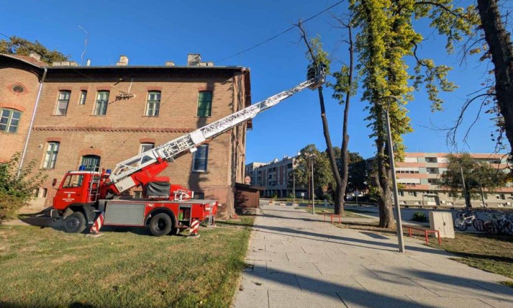 Auto ljestve stabla 2025 0