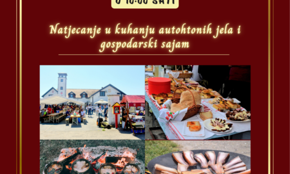 Gastro-fin.-620x877