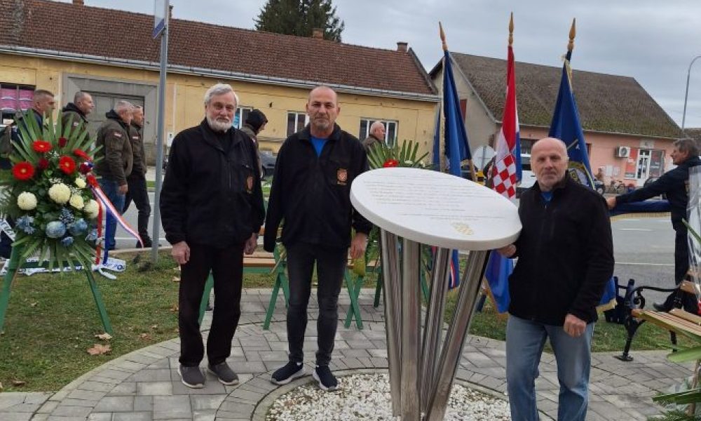 IMG-57fca6ff8322ee98c223917d7f58d4e2-V